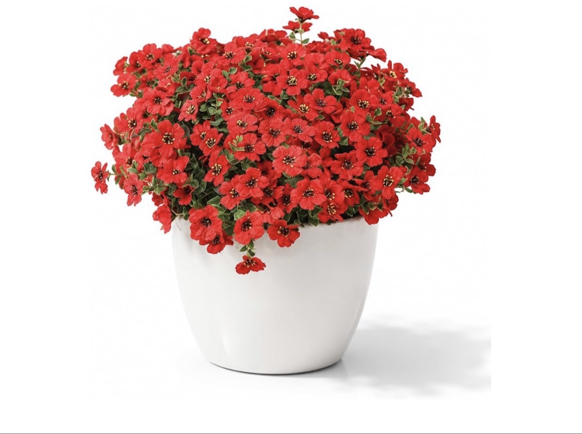 Yastouay Artificial Yard Decoration, Red