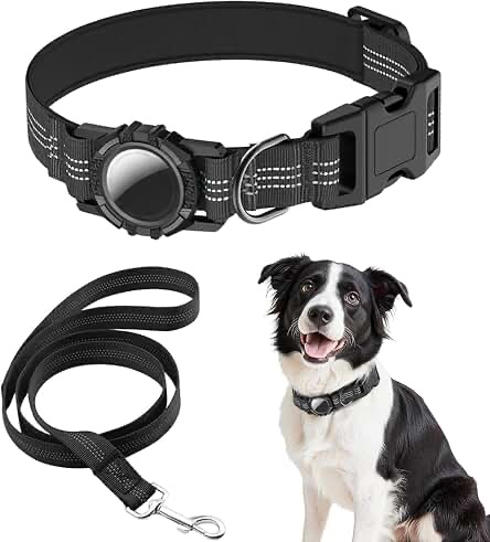 HDDTTZ AirTag Dog Collar and Leash Set (L, Black)