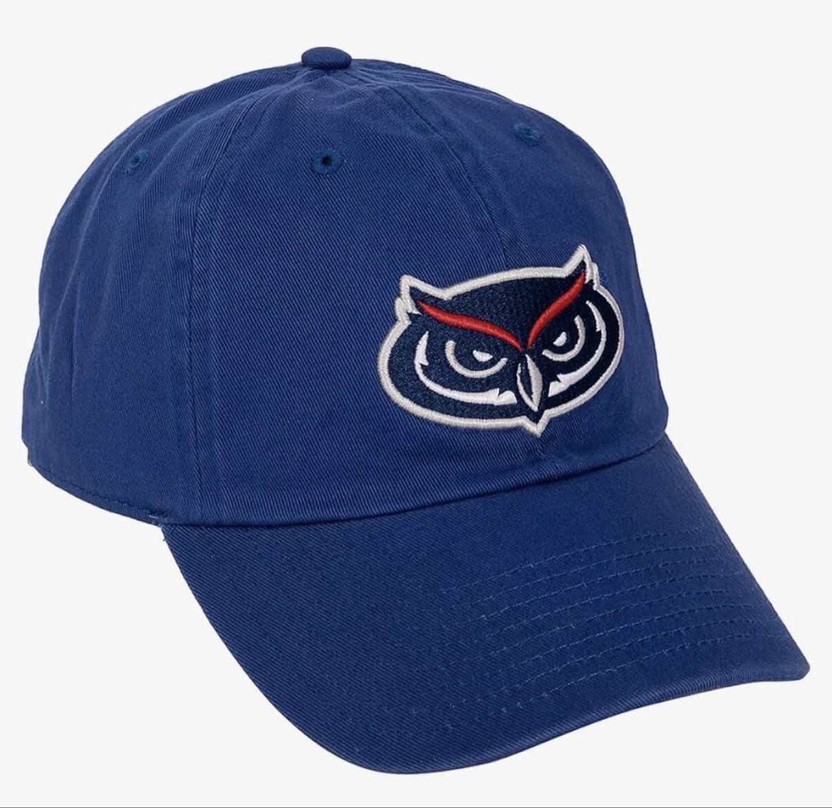 Desert Cactus Blue Owl Mascot Adjustable Snapback Baseball Hat