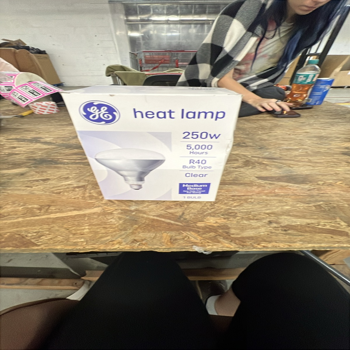 GE Heat Lamp 250W R40 Clear