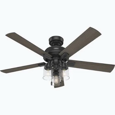 Hunter Maya 54-inch Indoor Ceiling Fan