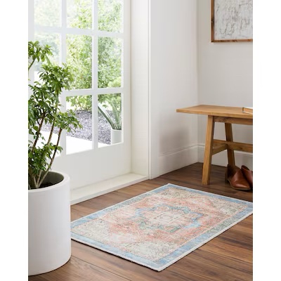 Allen + Roth Chenille-Polyester Area Rug, Coral, 24 in x 36 in