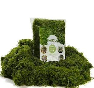 USMOLA Premium Fake Moss