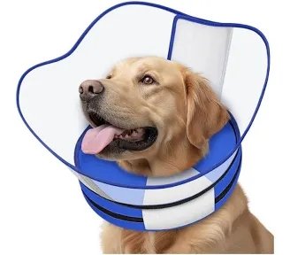 Supet Sponge Dog Cone Recovery Collar Size XL