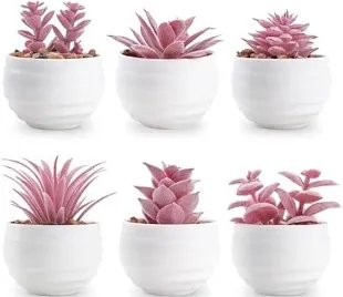Solsew Assorted Artificial Succulent Decor (Pink, Blush Style)