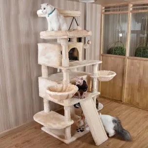 Lima Pet Heavy Duty Carpet 68 Inch Multi-Level Cat Tree Condo
