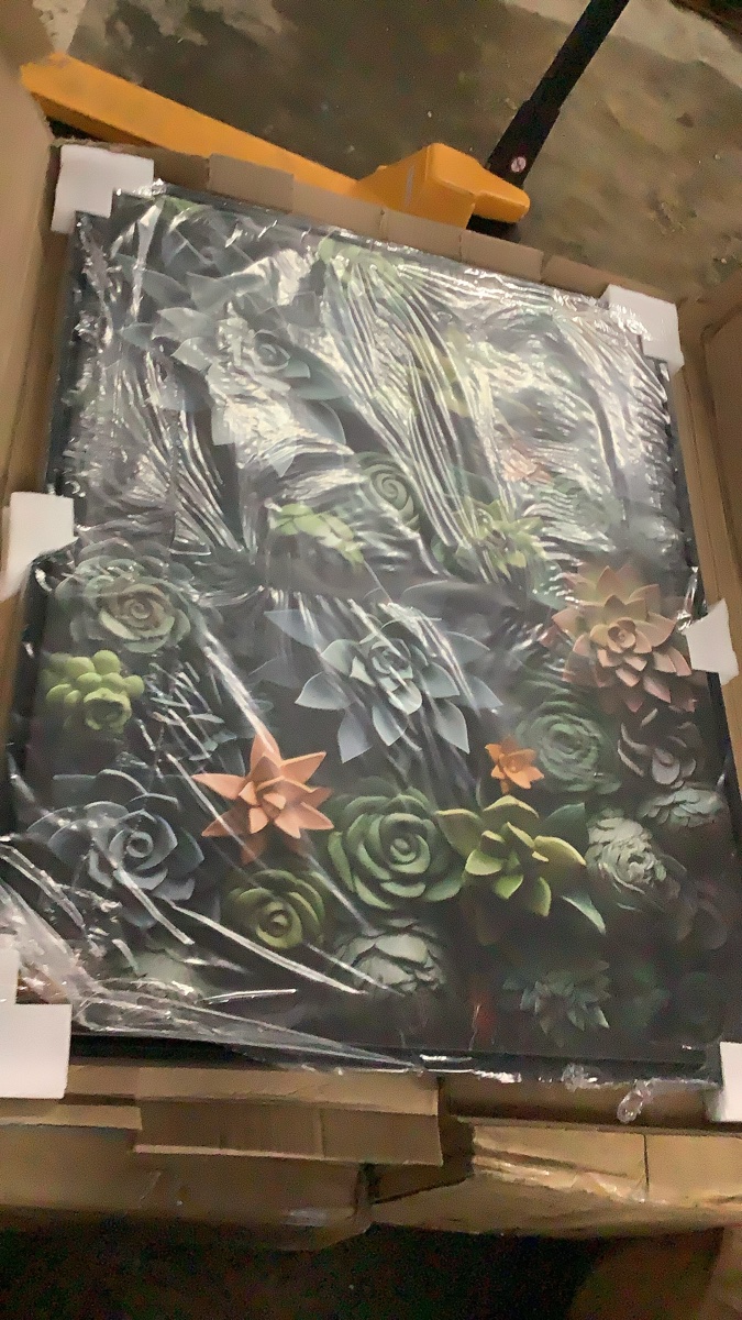 3D Succulent Wall Art Shadow Box