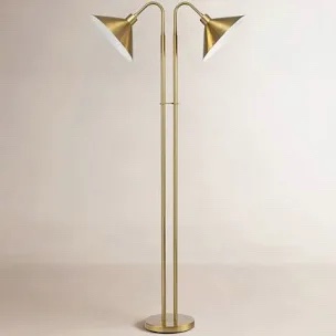 Fayra 2-Light Gooseneck Floor Lamp