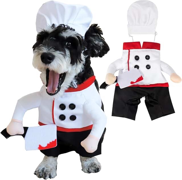 Chef Costume for Pets/Small Animals with Toy Knife