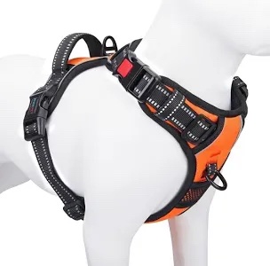 Phoepet No-Pull Dog Harness, Orange