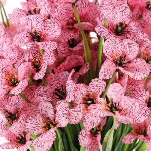 Artificial Pink Flower Bouquet in Plastic Packaging