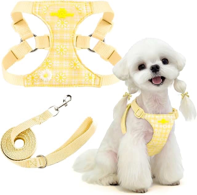 Dog Harness with Flower Detail, Yellow and Teal Mesh