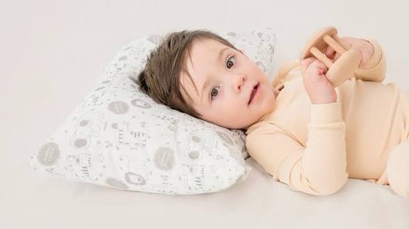 KeaBabies Toddler Pillow with Pillowcase