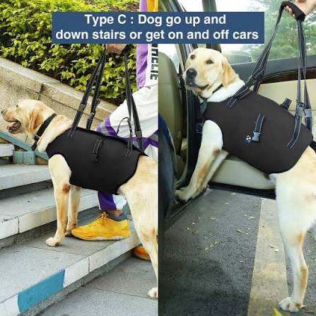 COODEO Dog Lift Harness for Dogs with Injuries - Large
