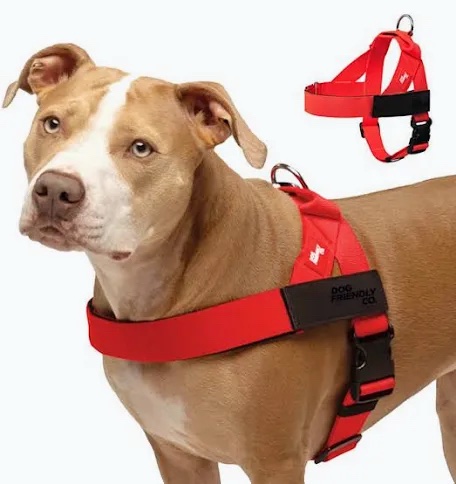 Dog Friendly Co. Red Dog Harness medium