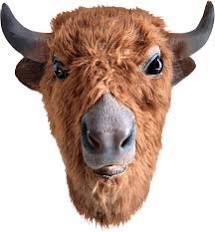 Natural Latex Mask Bison
