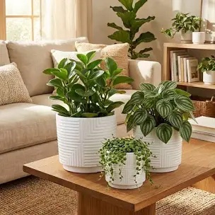 Shern Ceramic Planters with Geometric Embossed Design, Set of 2