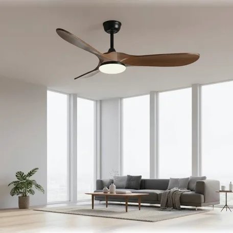 Ceiling fan