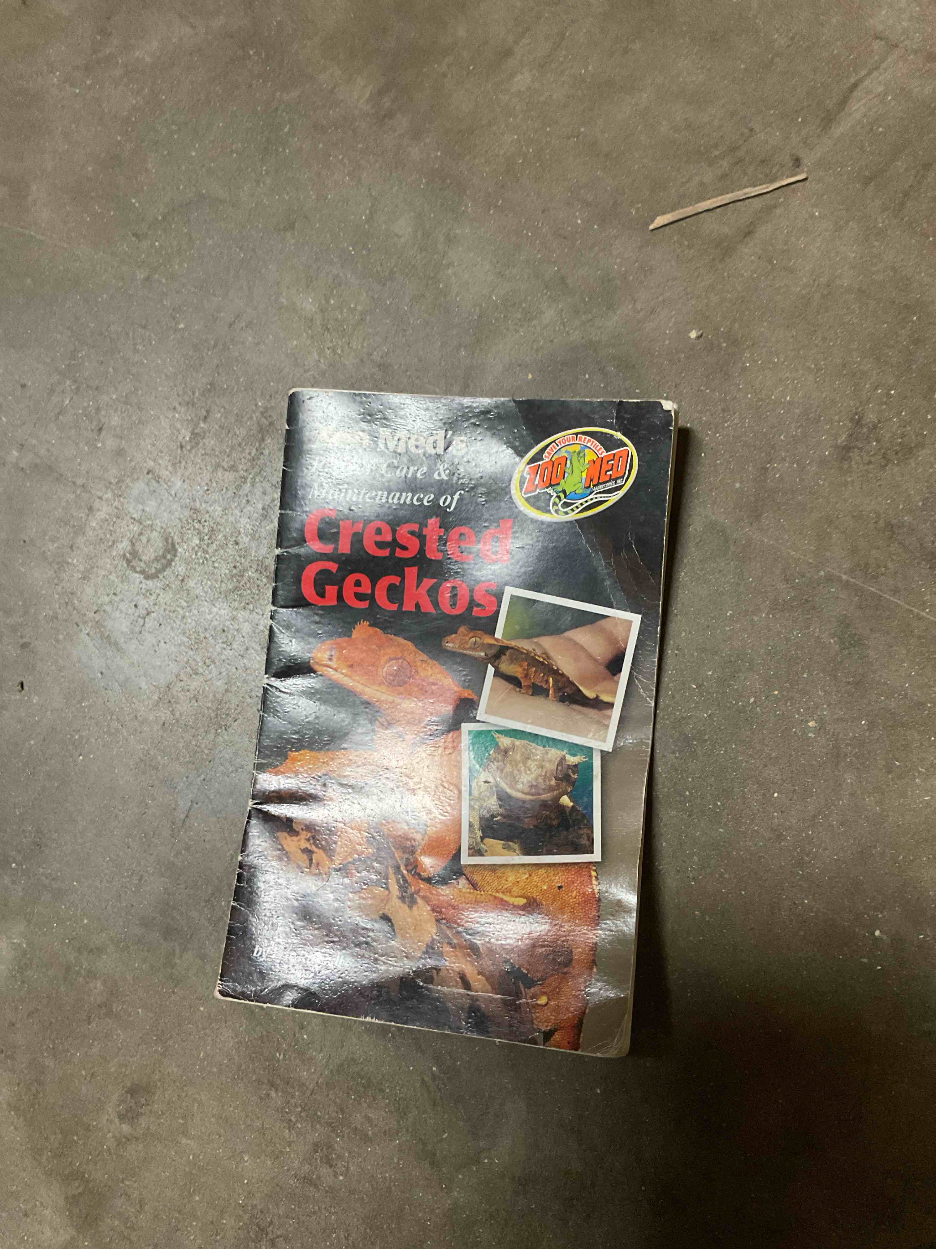 ZooMed’s Proper Care & Maintenance of Crested Geckos