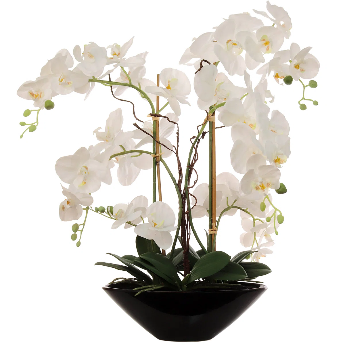 24.8 Inch Real Touch Phalaenopsis Orchid Floral Arrangement In Decorative Ceramic Vase. 12” Diameter