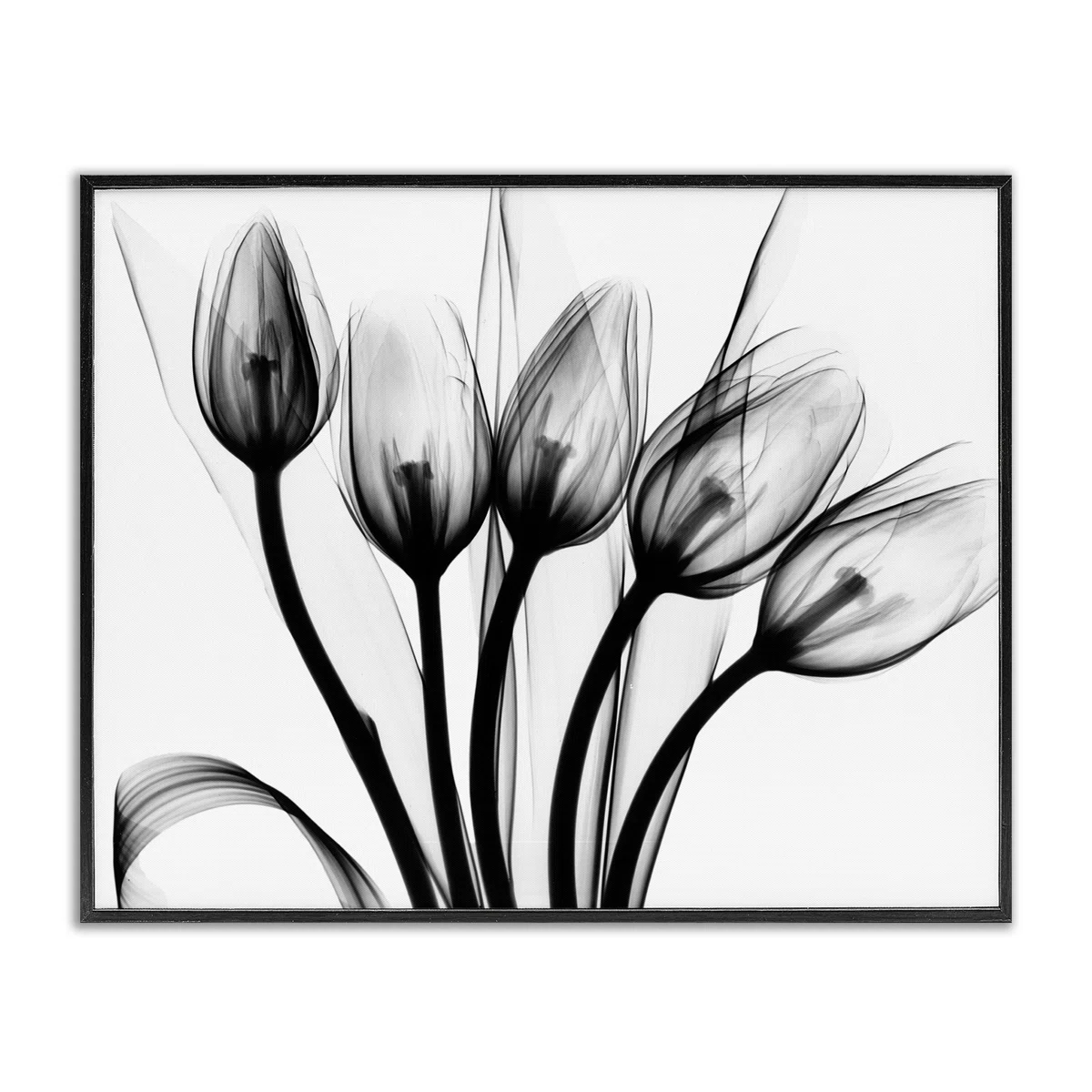 Modern Tulip Blossom Abstract Monochrome Silhouettey by Albert Koetsier - Painting