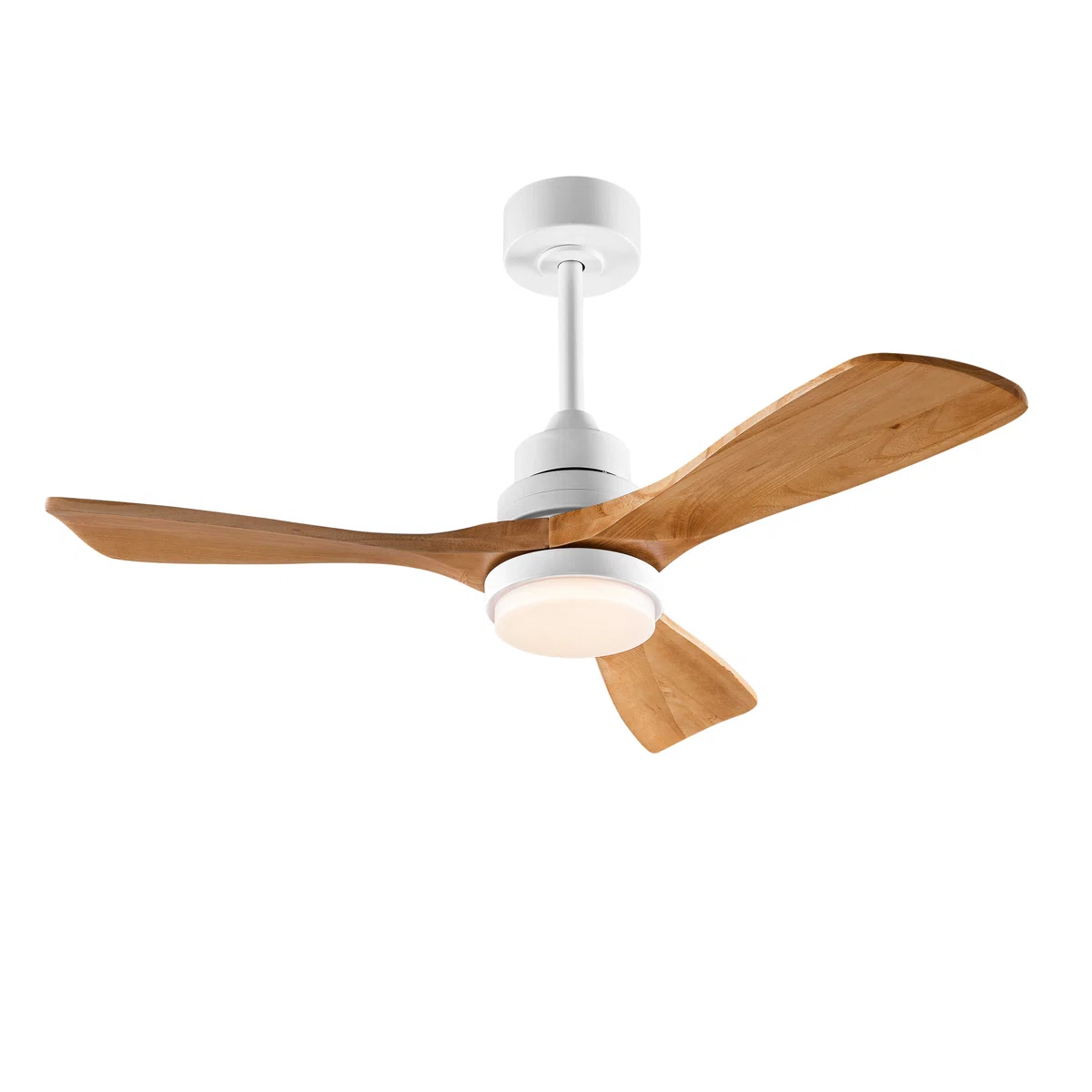 Ceiling Fan With Lights