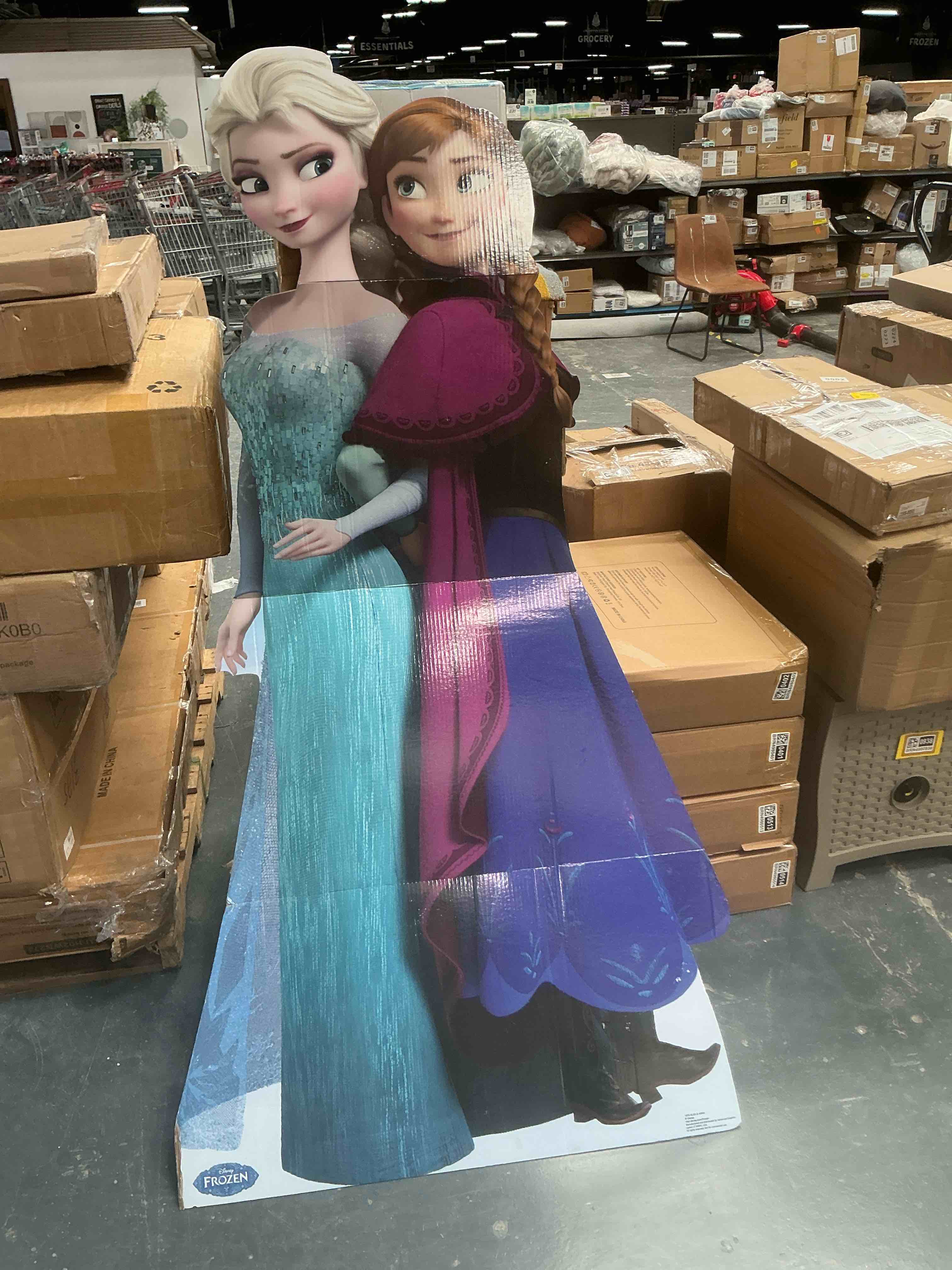 Disney Frozen Elsa and Anna Cardboard Cutout
