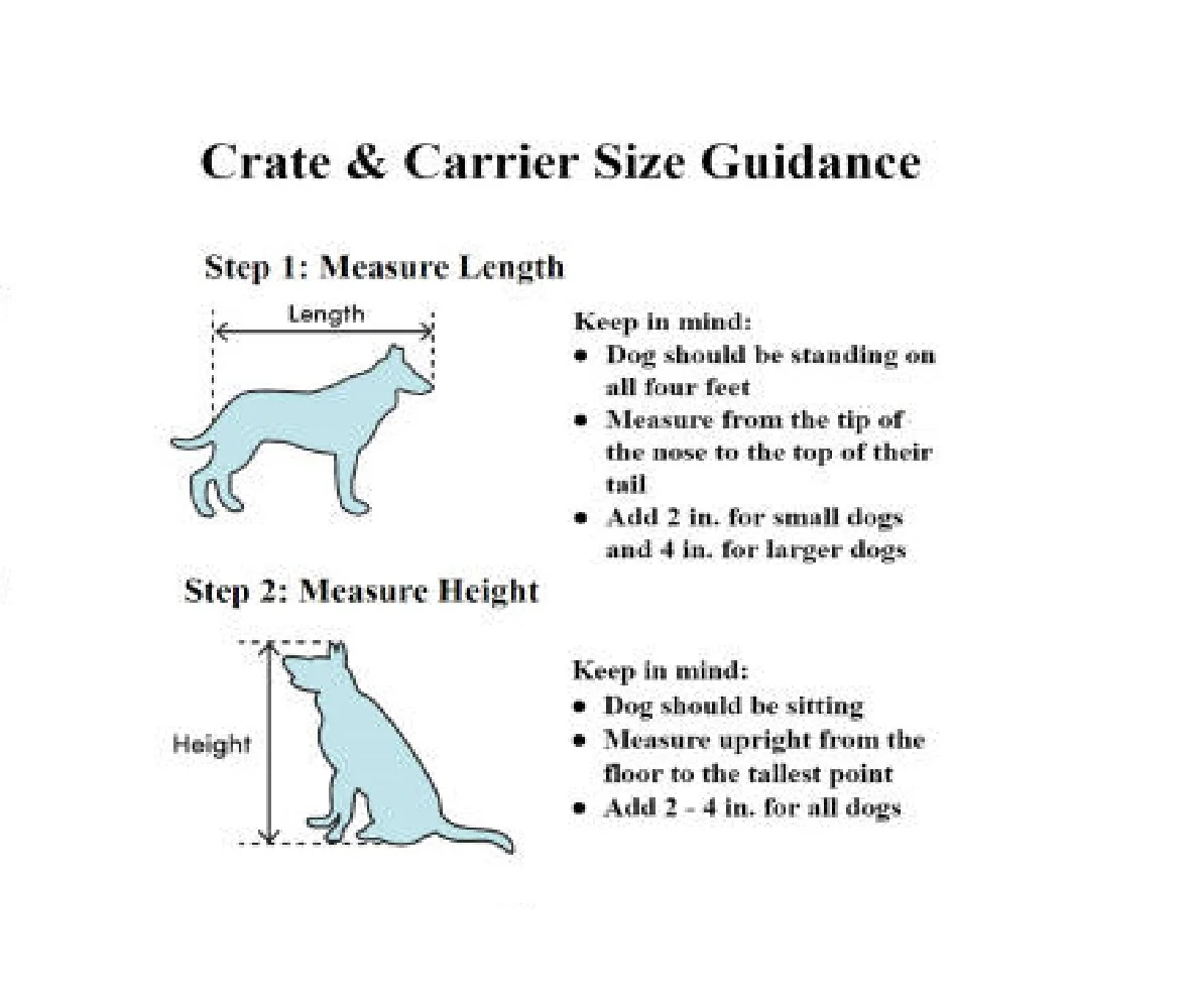 Pet Porter Fashion Pet Carrier