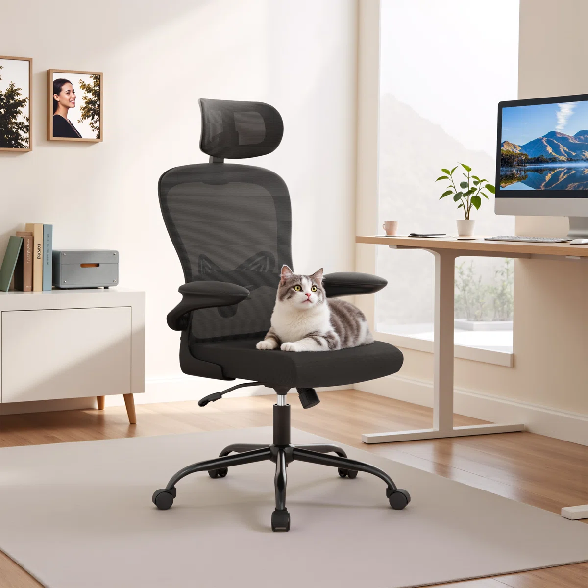 High-Back Mesh Office Chair Ergonomic Home Office Chair with Headrest and Footrest, Swivel Task Chair