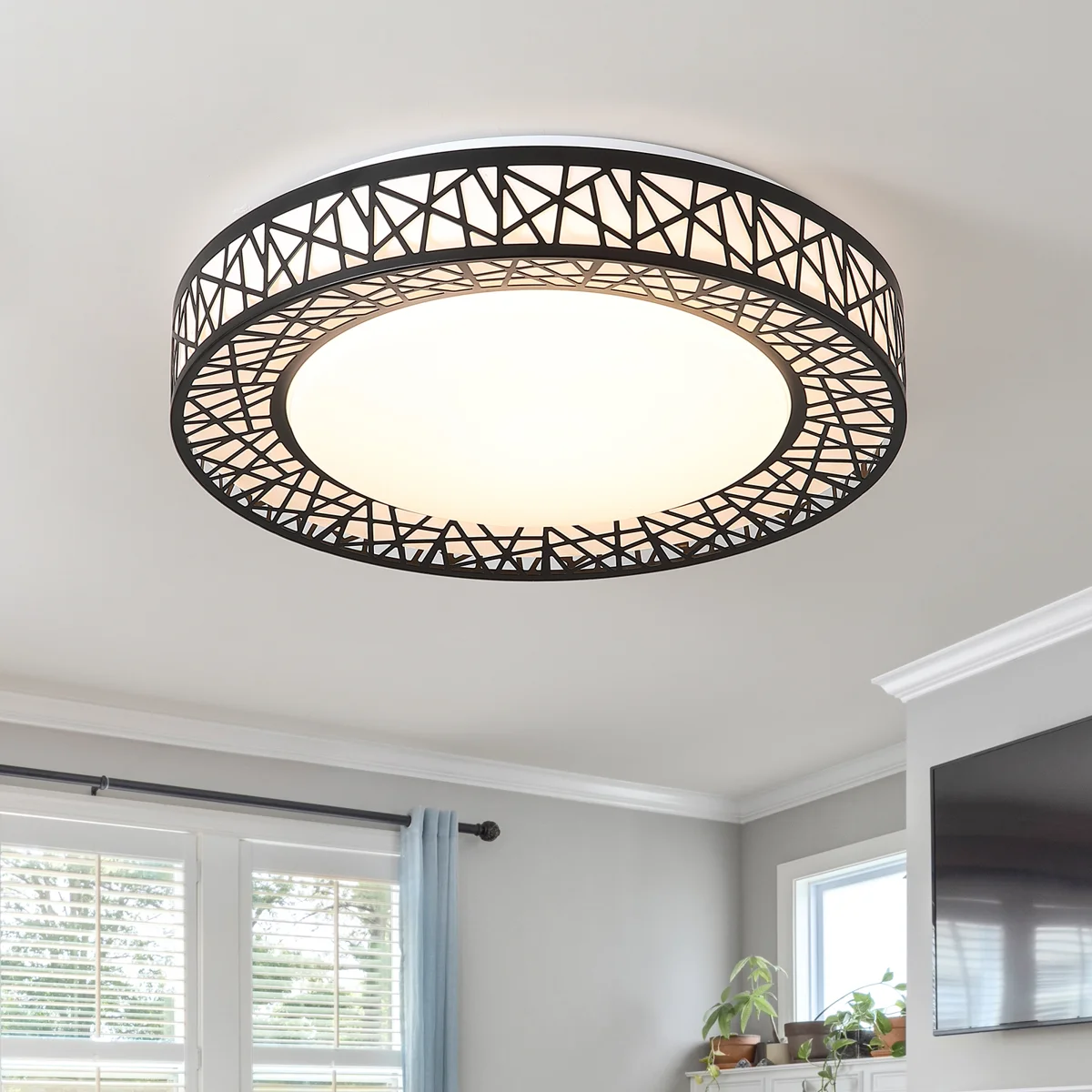 Chic Iron Bird's Nest LED Ceiling Light 5-Class Dimmble