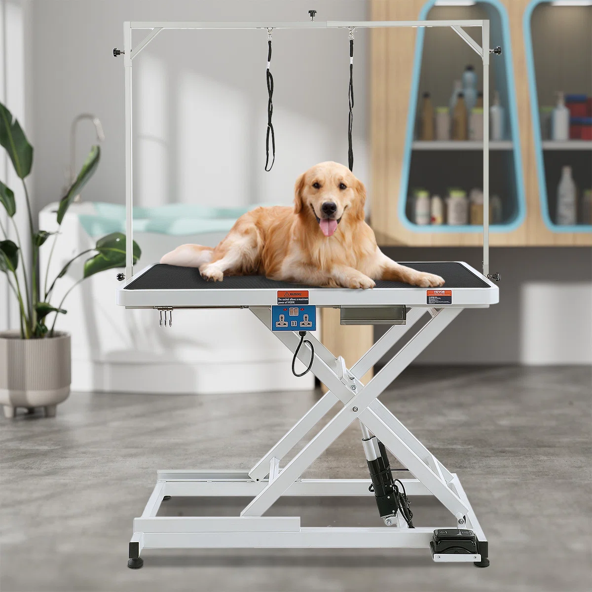 41'' H x 49.2'' W x 25.6'' D Metal Adjustable Electric Grooming Table with Arm
