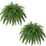 Articial fern leaves
