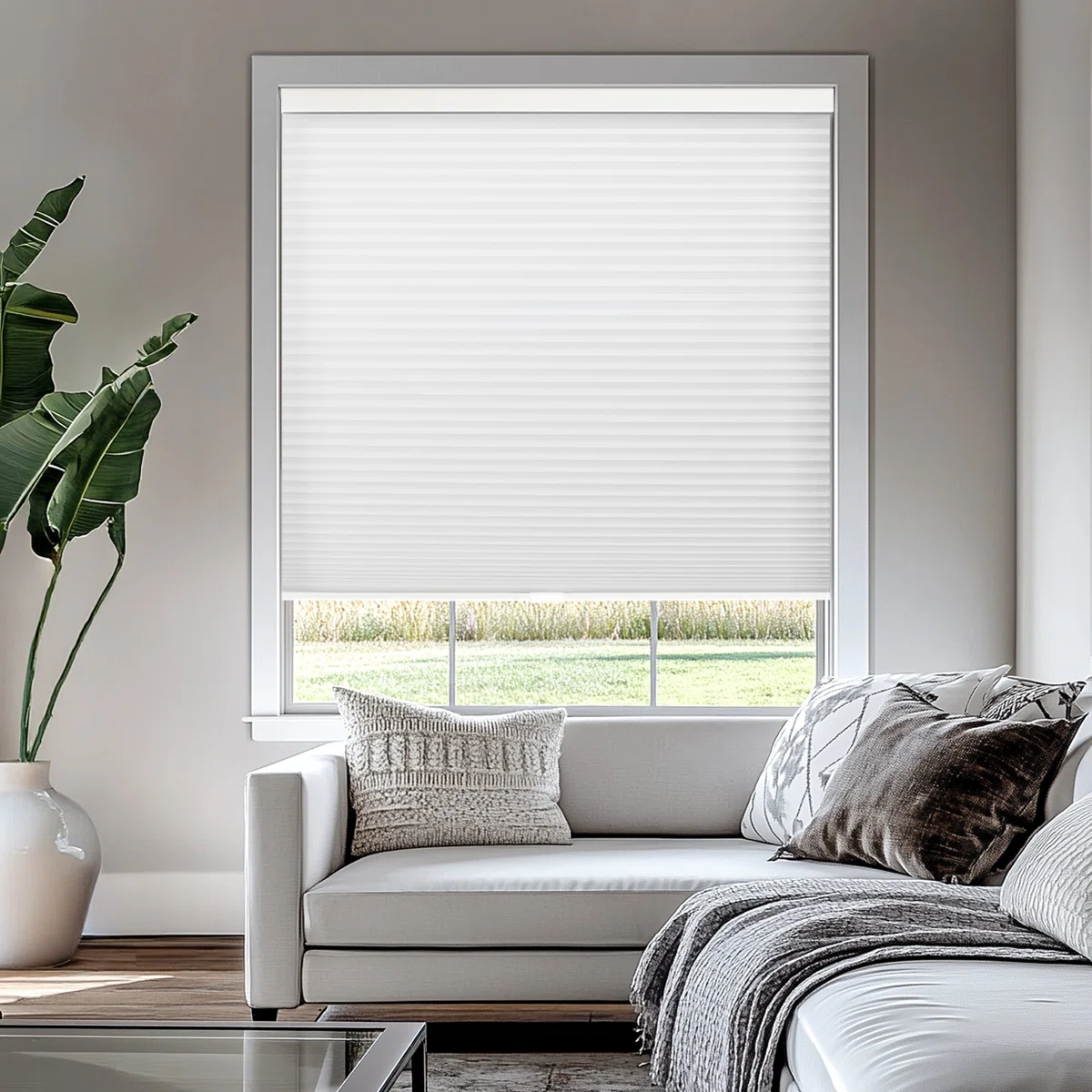 Custom Cordless Honeycomb Cellular Shade