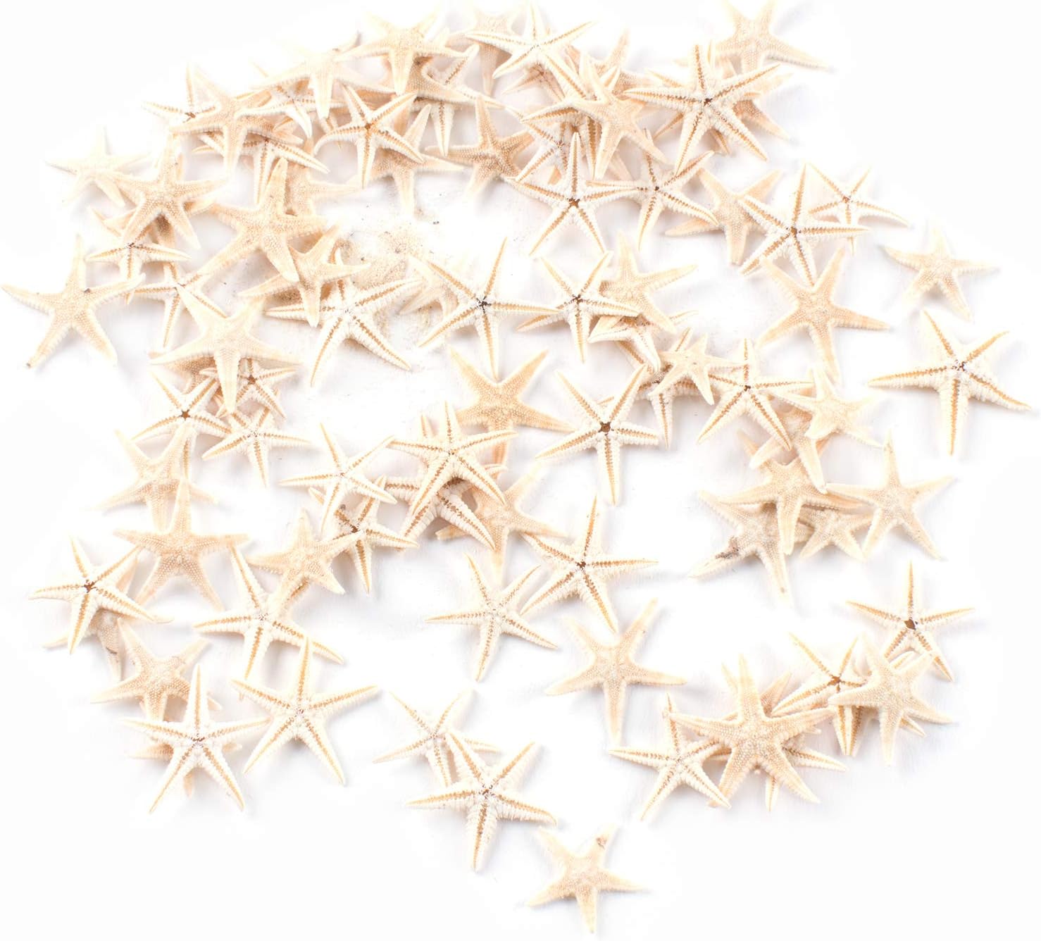 Super Z Outlet Tiny Miniature Fairy Garden Beach Critter Starfish Marine Life Collection for Arts & Crafts Projects, Decorations, Party Favors, Invitations - 90 Pieces