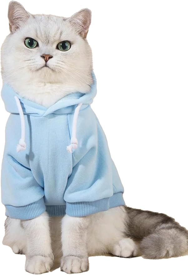 Petdream Dog Hoodie (Blue, Size S)