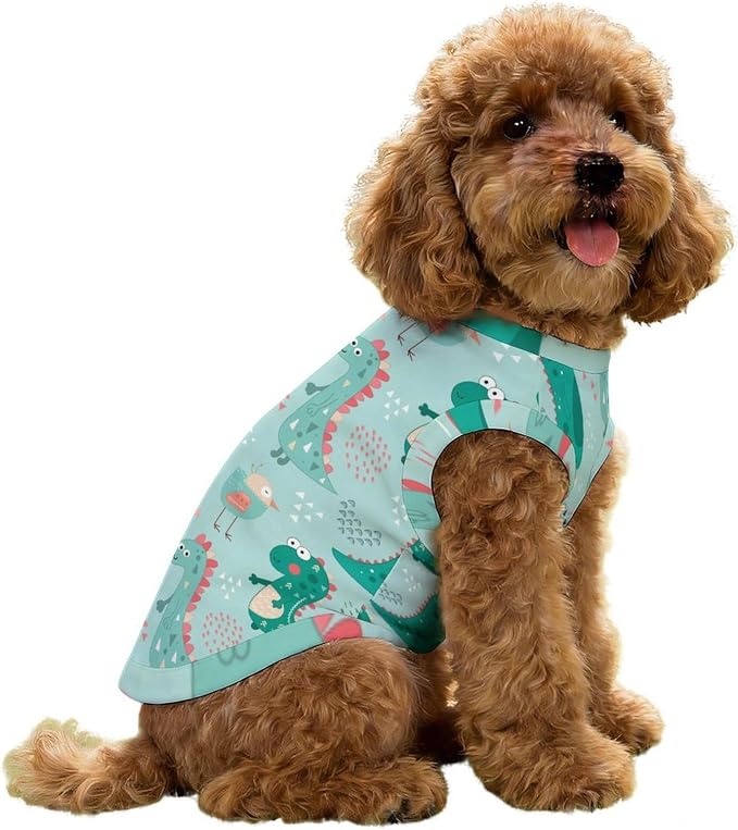 PUMYPOREITY Dinosaur Pattern Shirt - Blue, Size XS For Dogs