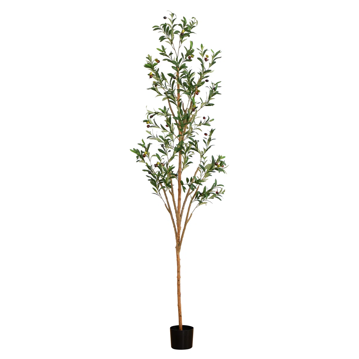7ft. Artificial Olive Tree with Natural Trunk