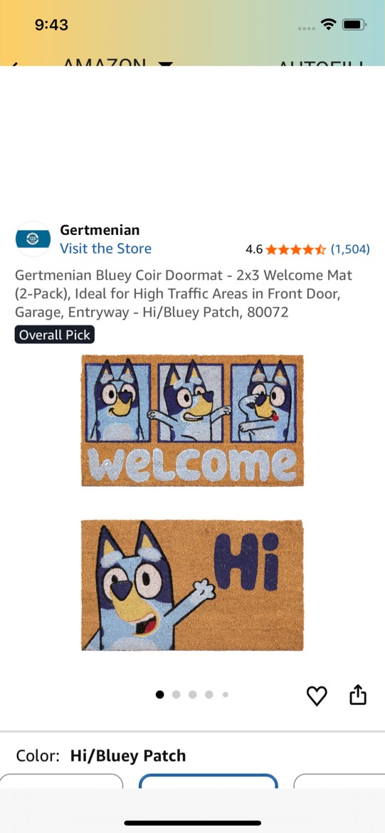 bluey outdoor mat