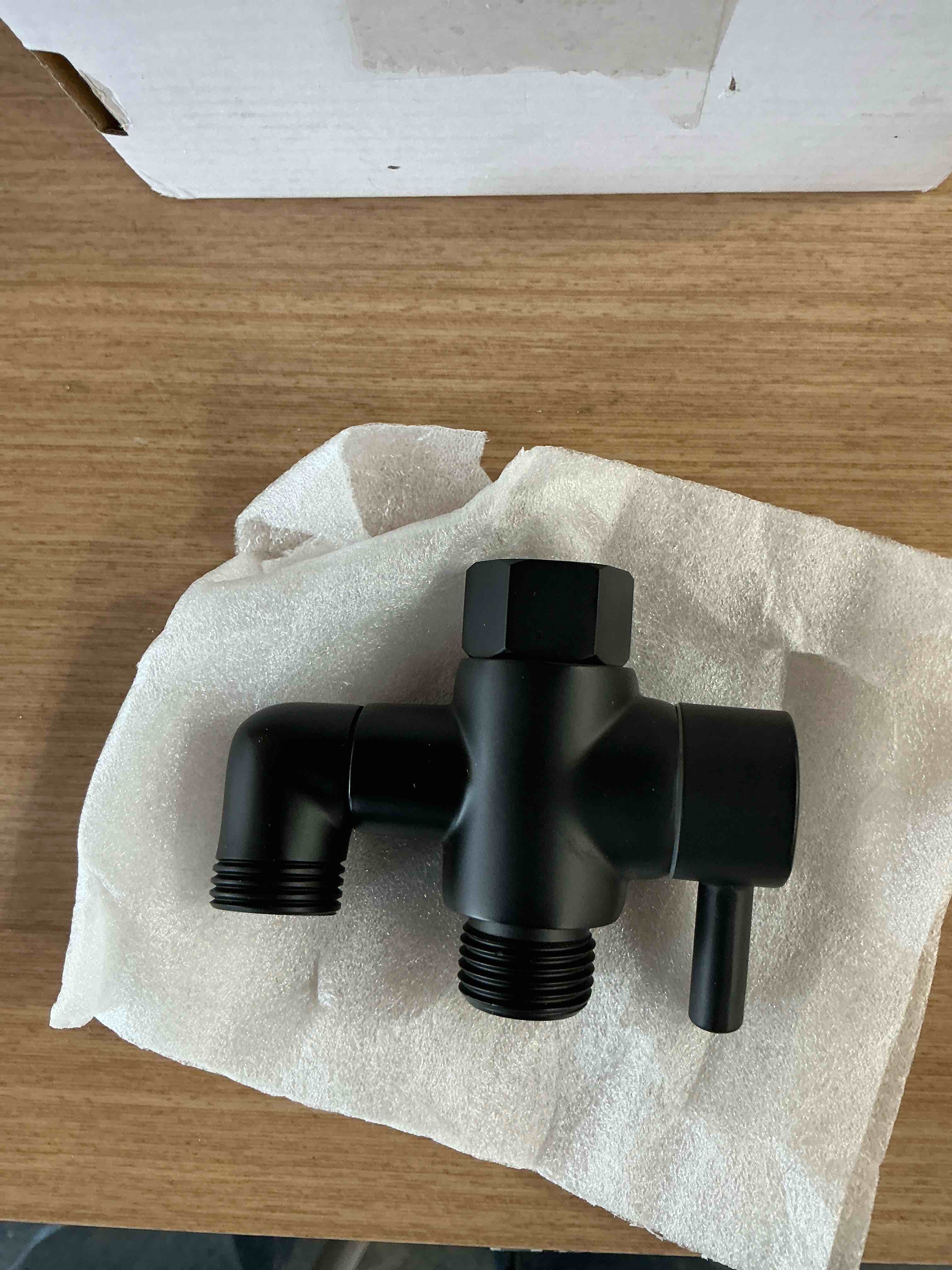 Shower Valve