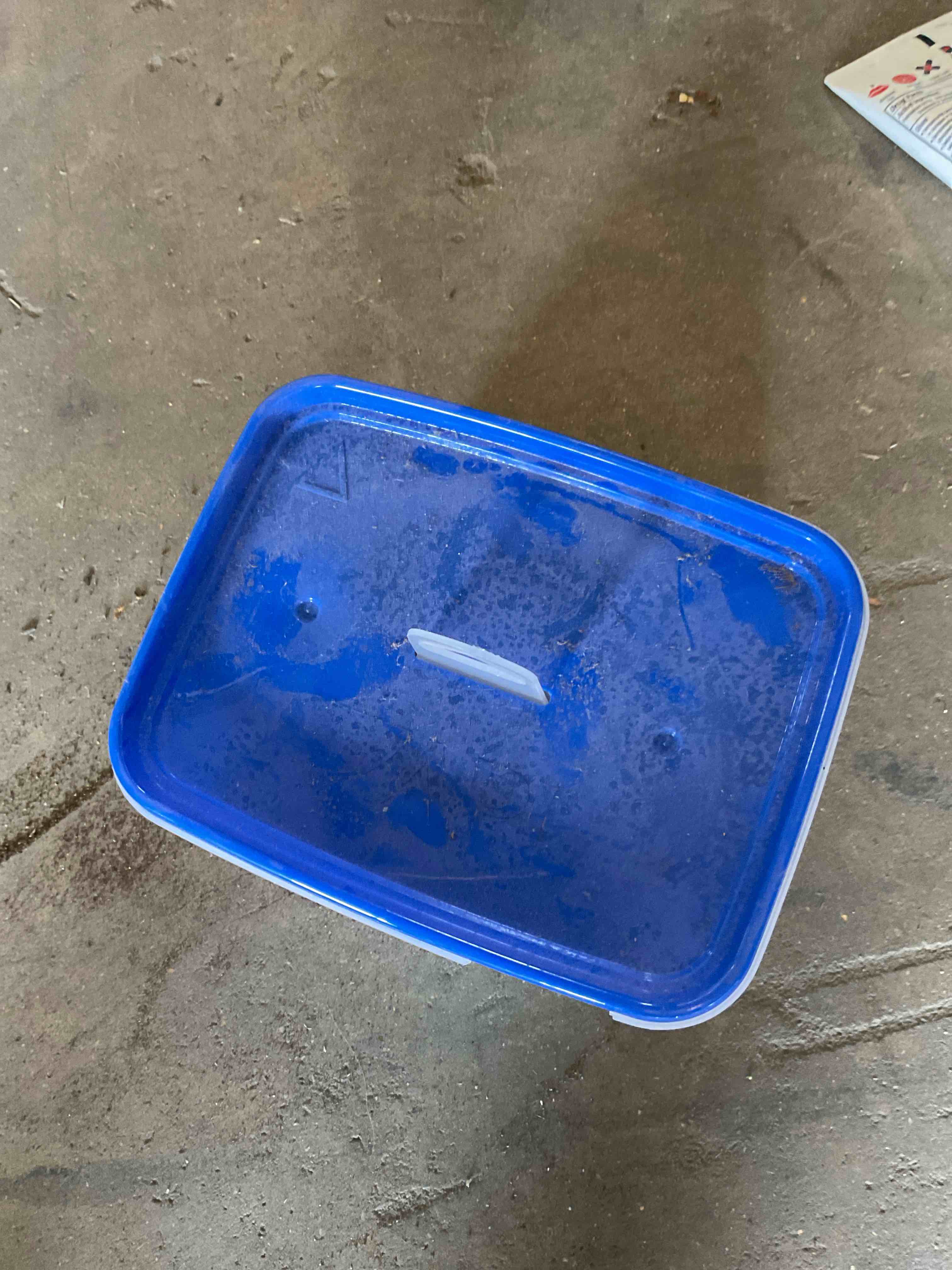Water Testing Kit