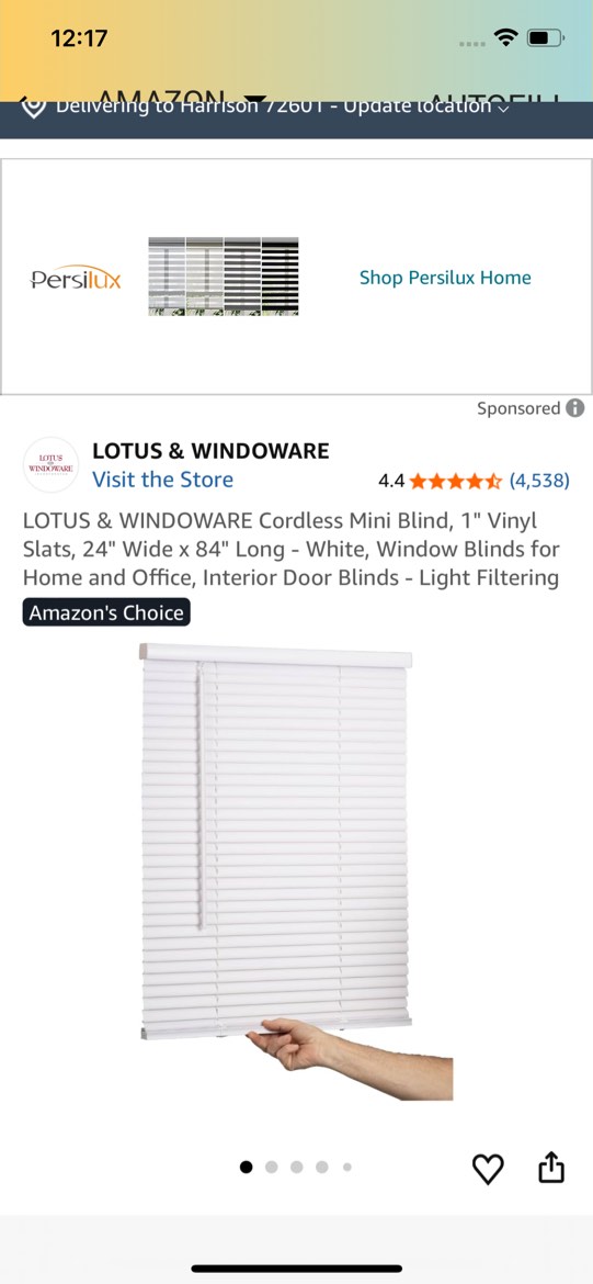 project source vinyl mini blind