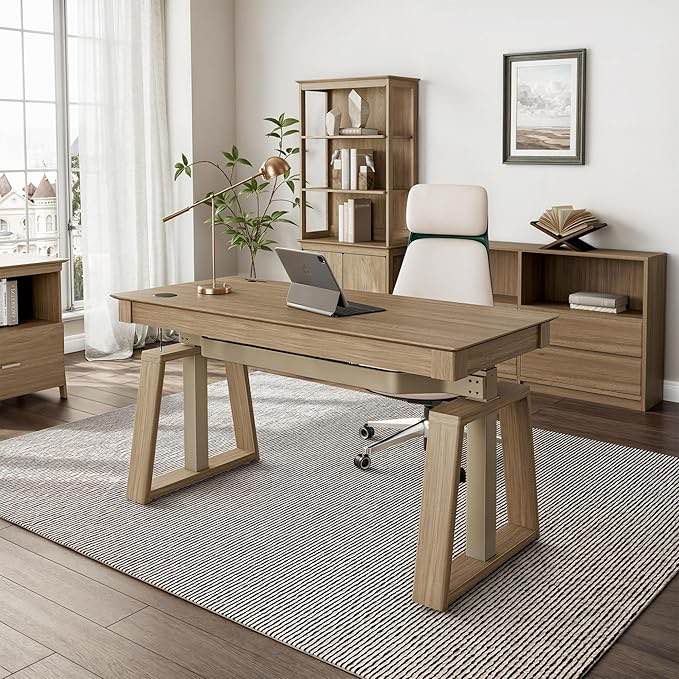 Eureka Ergonomic Office Desk with Outlets