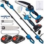 Advwin 2-In-1 Cordless Electric Pole Saw & Mini Chainsaw - 21V Tree Trimmer With Guide Bar, Extension Pole, And 2 Batteries