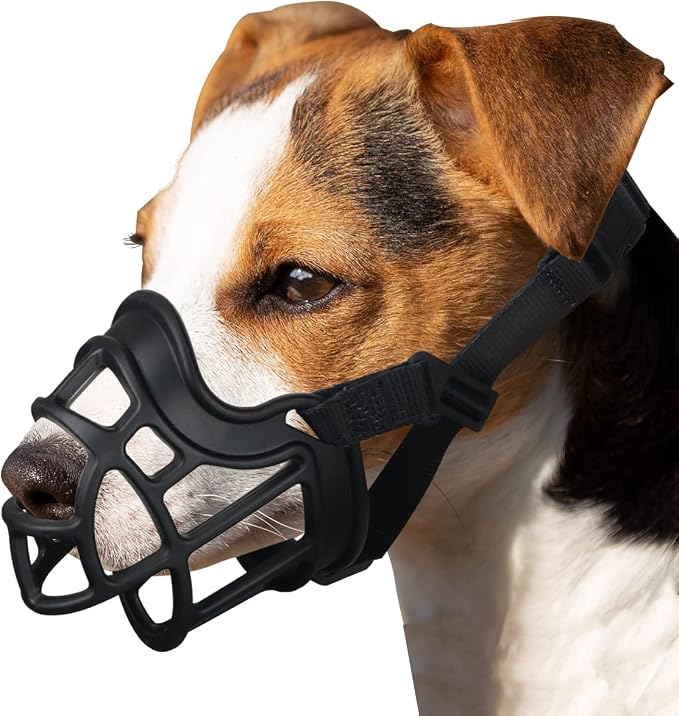 Muzzle