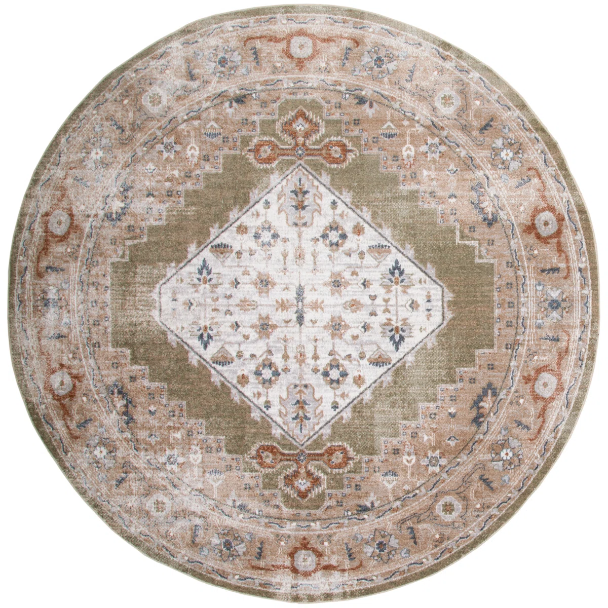 Millyr Machine Washable Persian Sage Multi Area Rug