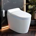 (damaged)Smart Toilet With Tank, Uv Sterilization, Auto Open/Close, Auto Flush, Heated Seat, Warm Air Dryer, Adjustable Water Temp & Pressure, Feminine Wash, Night Light