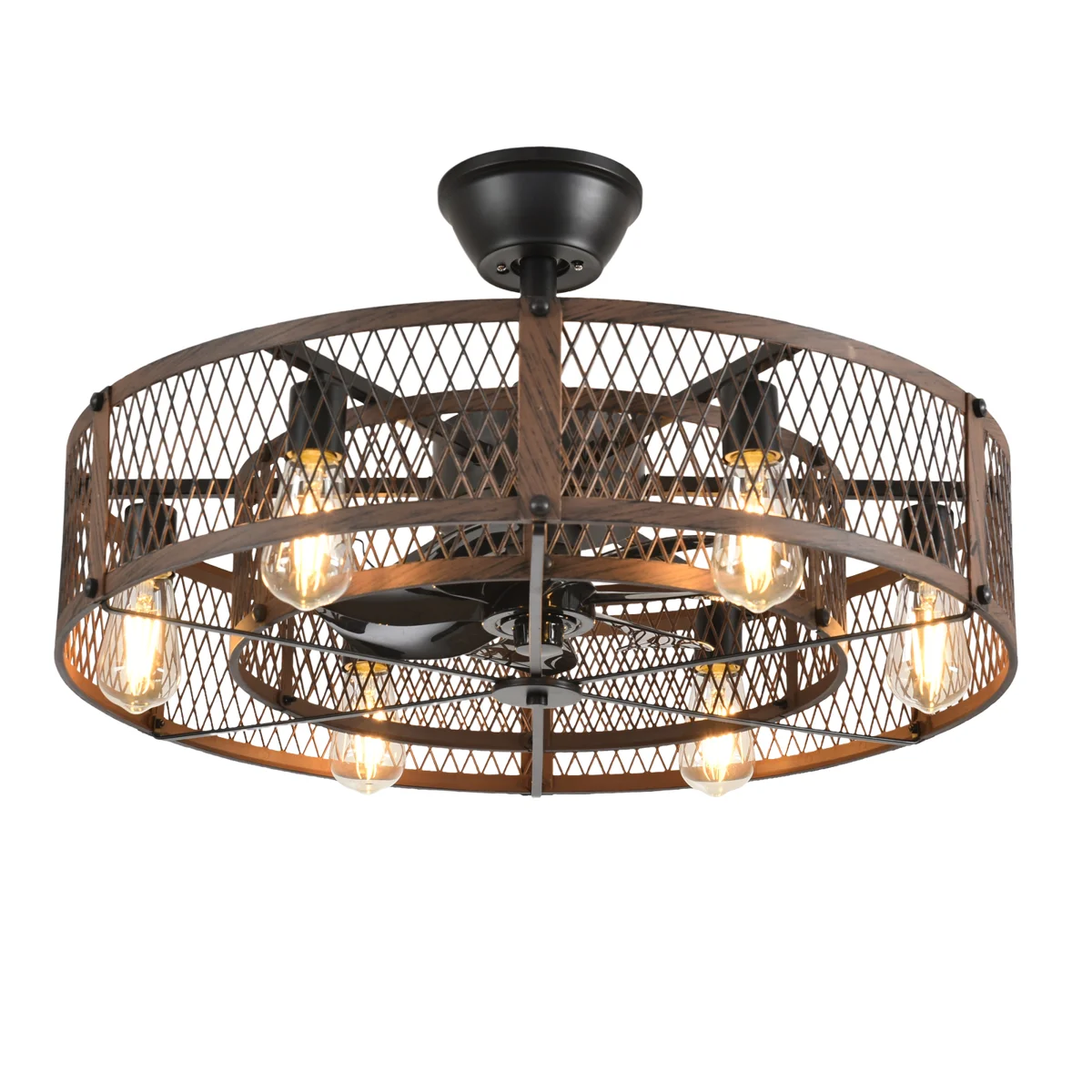 Elyijah Ceiling Fan with Light