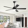 Ceiling Fan Model TY48 (Black)